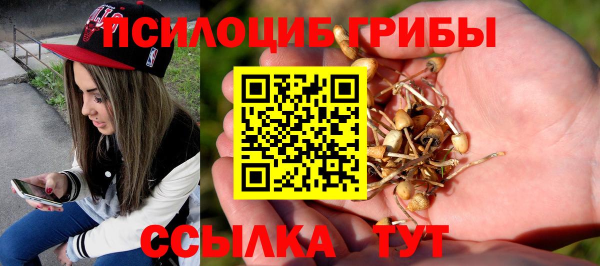 Канск  Галлюциногенные грибы мицелий  Псилоцибиновые грибы MAGIC MUSHROOMS  Вход с VPN 